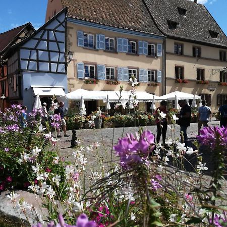 Gites Au Chateau Fleuri Eguisheim Zewnętrze zdjęcie