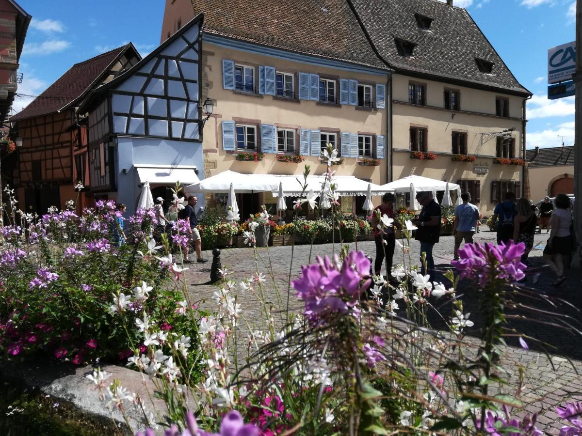 Gites Au Chateau Fleuri Eguisheim Zewnętrze zdjęcie