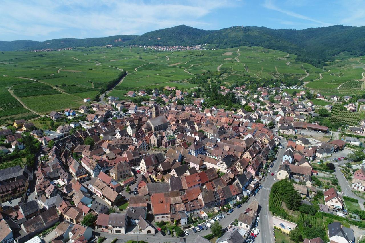 Gites Au Chateau Fleuri Eguisheim Pokój zdjęcie