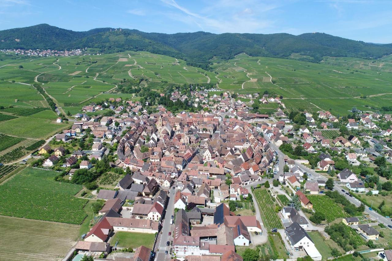 Gites Au Chateau Fleuri Eguisheim Pokój zdjęcie