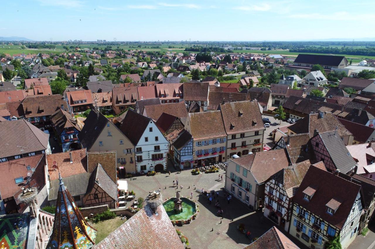 Gites Au Chateau Fleuri Eguisheim Pokój zdjęcie